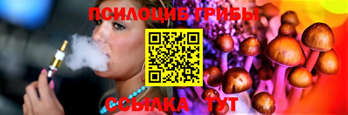 Псилоцибиновые грибы GOLDEN TEACHER  Вход с VPN  Корсаков 